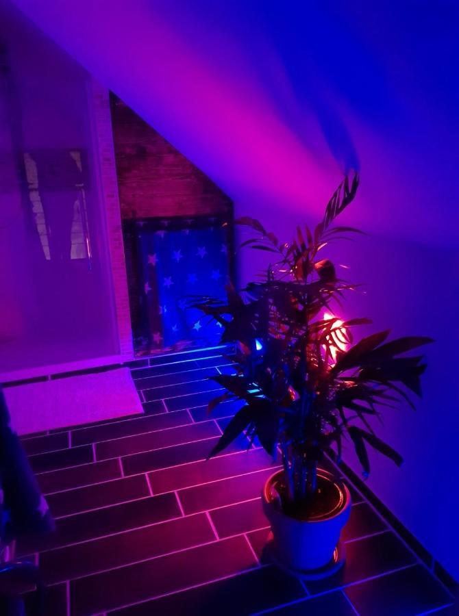 Apartament Wachsmann *